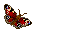 Klicke auf die Grafik fr eine grere Ansicht 

Name:	schmetterling3.png 
Hits:	496 
Gre:	1,2 KB 
ID:	18662