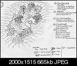 Klicke auf die Grafik fr eine grere Ansicht 

Name:	World-Concept-Rabbit.jpg 
Hits:	93 
Gre:	665,0 KB 
ID:	19317