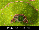 Klicke auf die Grafik fr eine grere Ansicht 

Name:	grassyhillschattiert.png 
Hits:	41 
Gre:	81,0 KB 
ID:	20049
