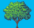 Klicke auf die Grafik fr eine grere Ansicht 

Name:	Baum.png 
Hits:	340 
Gre:	2,6 KB 
ID:	20444