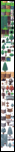 Klicke auf die Grafik fr eine grere Ansicht 

Name:	ORTP_Wald.png 
Hits:	57 
Gre:	130,0 KB 
ID:	20456