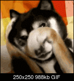 Klicke auf die Grafik fr eine grere Ansicht 

Name:	1408780761843.gif 
Hits:	1 
Gre:	987,6 KB 
ID:	21088