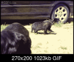 Klicke auf die Grafik fr eine grere Ansicht 

Name:	1389730795197.gif 
Hits:	2 
Gre:	1.023,4 KB 
ID:	21089
