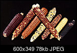 Klicke auf die Grafik fr eine grere Ansicht 

Name:	byder.jpg 
Hits:	49 
Gre:	77,7 KB 
ID:	21925