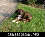 Klicke auf die Grafik fr eine grere Ansicht 

Name:	tali.jpg 
Hits:	281 
Gre:	369,3 KB 
ID:	22606