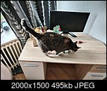 Klicke auf die Grafik fr eine grere Ansicht 

Name:	IMG_20231224_095618.jpg 
Hits:	25 
Gre:	494,5 KB 
ID:	25838
