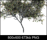 Klicke auf die Grafik fr eine grere Ansicht 

Name:	tree11.png 
Hits:	48 
Gre:	673,0 KB 
ID:	22354