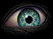 Avatar von AnimexXXXX