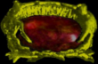 Avatar von Arael