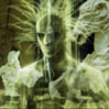Avatar von Nausea