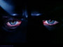 Avatar von Mister T.