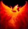 Avatar von PhoenixAT
