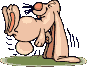 Avatar von Anfnger