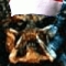Avatar von Mick