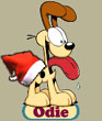 Avatar von Odie