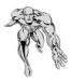 Avatar von JAF
