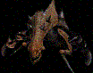 Avatar von Piggi
