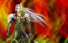 Avatar von Final Sephiroth