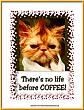 Avatar von Coffeeking