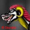Avatar von apokalypse drache