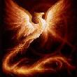 Avatar von Sea of flames