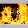 Avatar von DarkChild