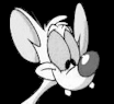 Avatar von Stike