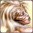 Avatar von Memphis
