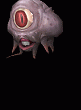 Avatar von Murphys Law