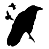 Avatar von Tonda