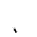 Avatar von Der dunkle Lord