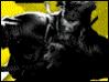 Avatar von snakeeater23