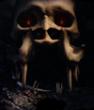Avatar von TheDungeoneer