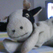Avatar von Bunkerkuh