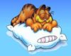 Avatar von *Garfield*