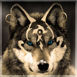 Avatar von Wintertatze