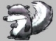 Avatar von Skunkie