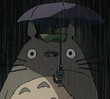 Avatar von Nachbar Totoro