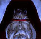 Avatar von DarkPlasman