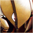 Avatar von Vau