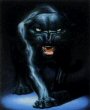 Avatar von TBABlackPanther