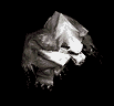 Avatar von Divine Right