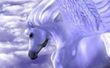 Avatar von Pegasus