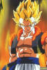 Avatar von Gogeta