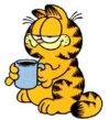 Avatar von Garfield