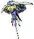 Avatar von Long
