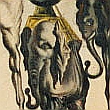 Avatar von Eanad