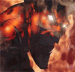 Avatar von xSMOKEx