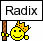 Avatar von Radix