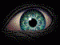 Avatar von AnimexXXXX